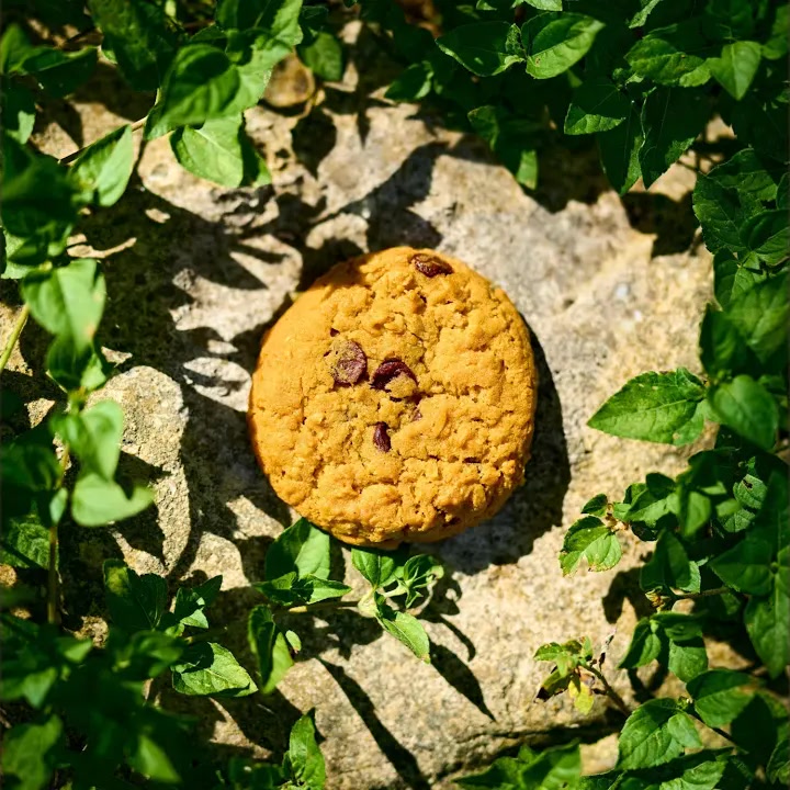 [C418] Cookie Clicker