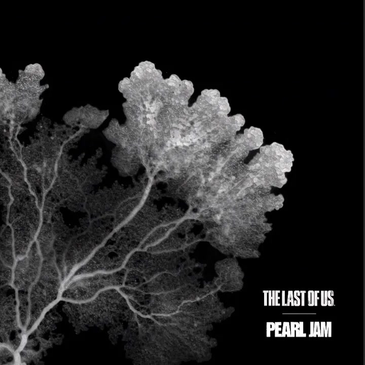 [Pearl Jam] The Last of Us